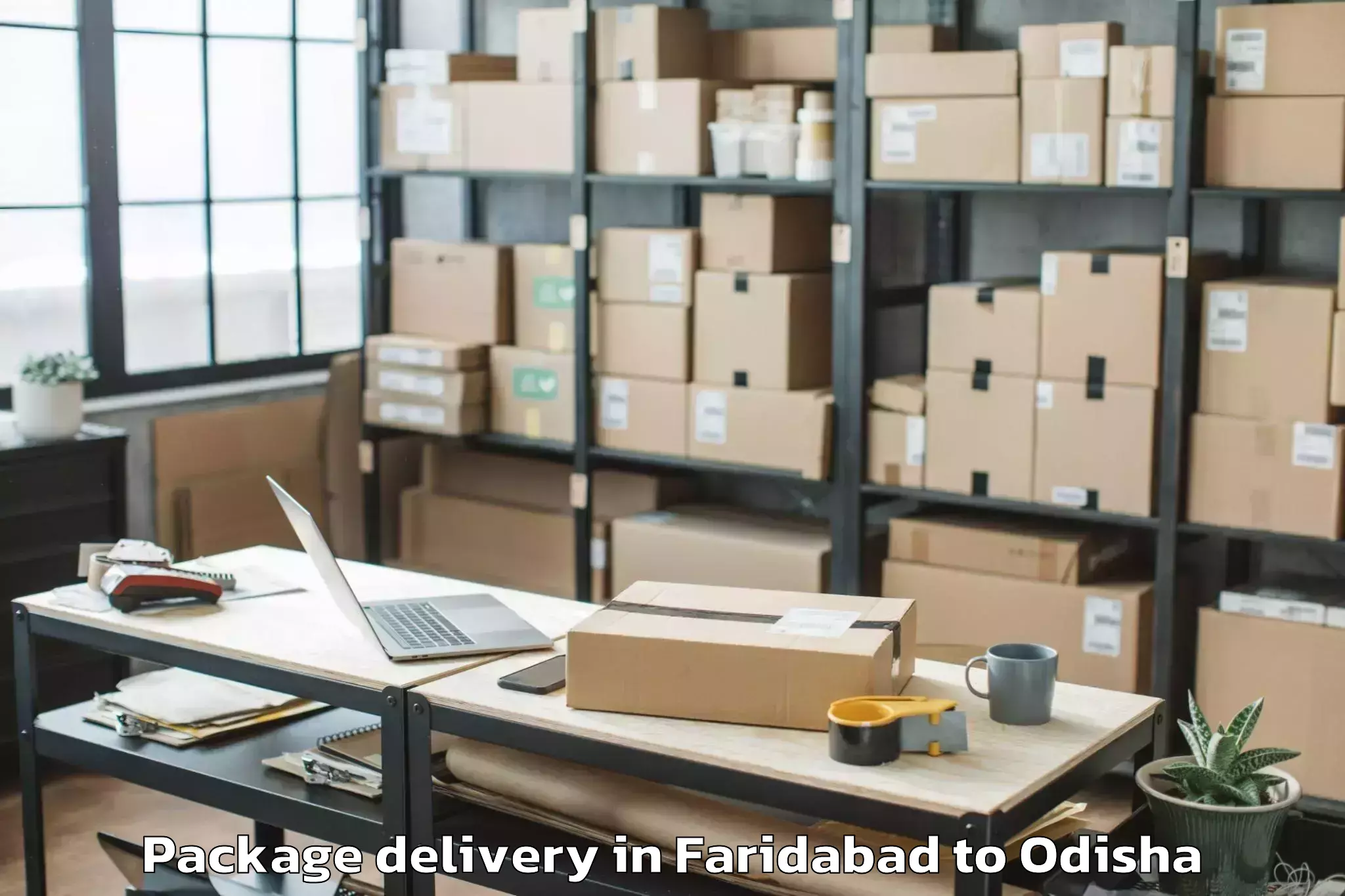 Book Faridabad to National Law University Odisha Package Delivery Online